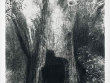 「生誕180年　オディロン・ルドン版画展」 ～神奈川県立近代美術館 葉山～