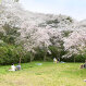 桜山中央公園