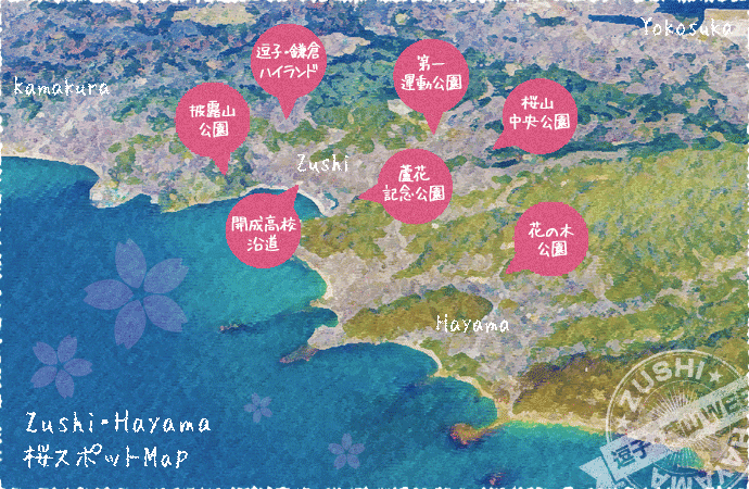 逗子 葉山で楽しめる桜スポット特集 特集 逗子 葉山web
