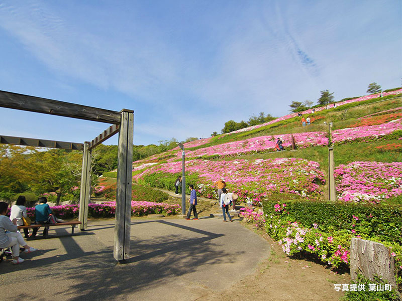 湘南国際村グリーンパーク　園内