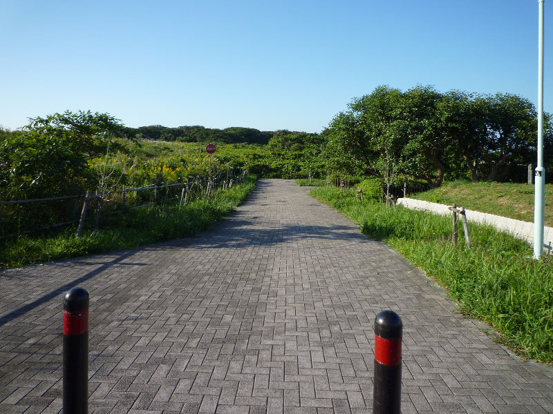 湘南国際村グリーンパーク　園内