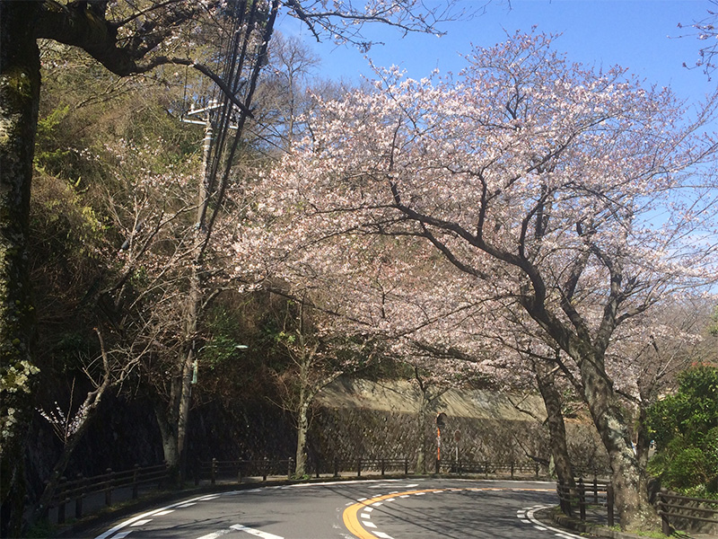 逗子病院〜桜山公園までの坂道
2016年3月25日
