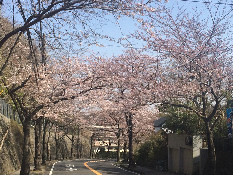 逗子病院〜桜山公園までの坂道
2016年3月31日
