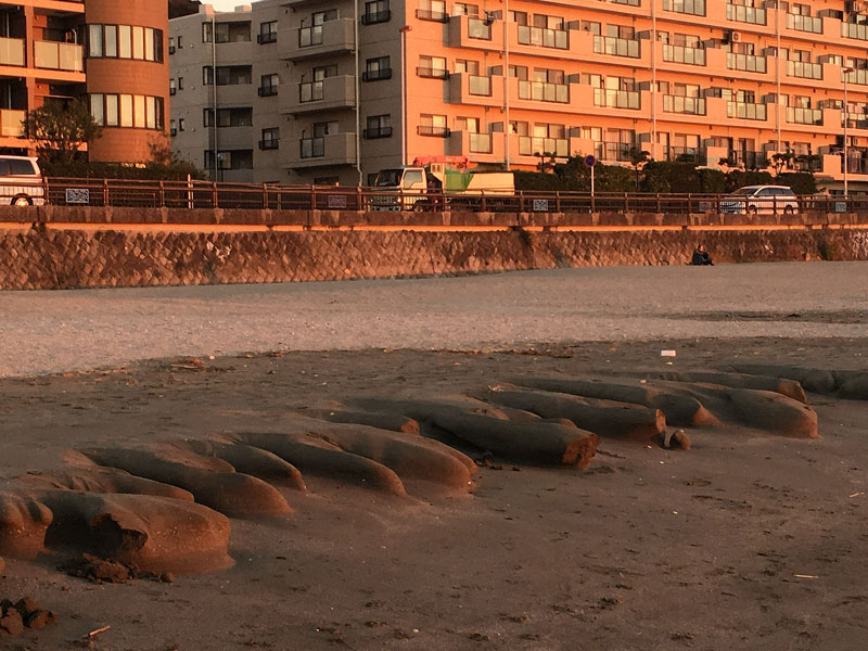 2016年12月6日 逗子海岸に・・・