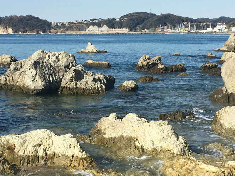 葉山日和 〜森戸海岸・芝崎海岸の岩鑑賞♪〜