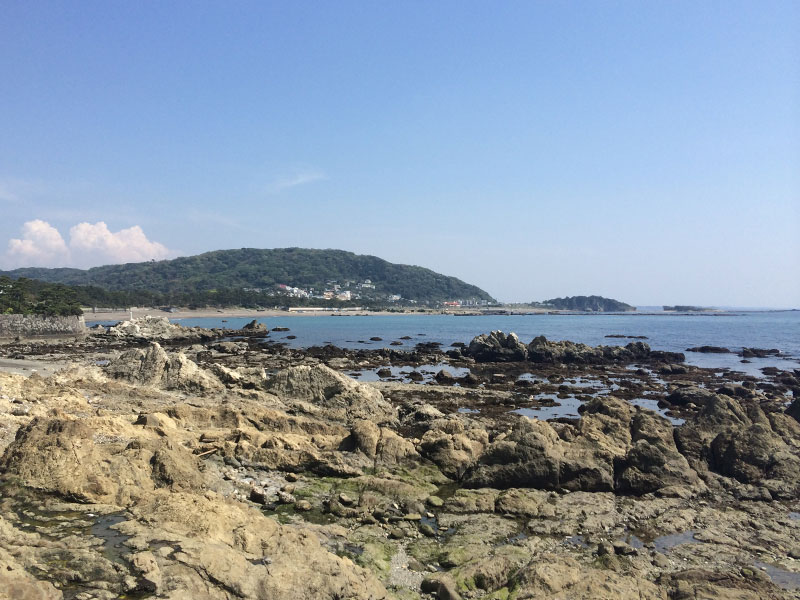 葉山日和 〜森戸海岸・芝崎海岸の岩鑑賞♪〜