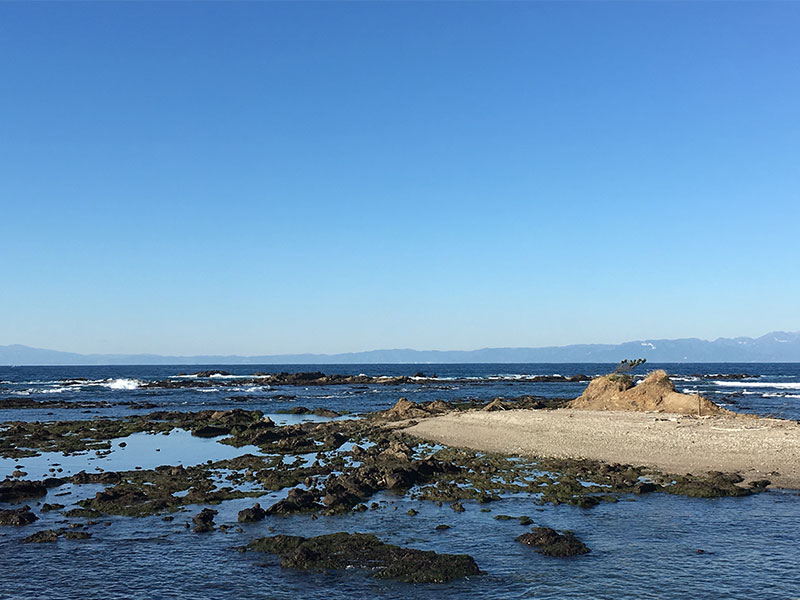 葉山日和 〜森戸海岸・芝崎海岸の岩鑑賞♪〜