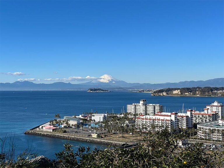 眼下に逗子マリーナ、遠くは富士山も！