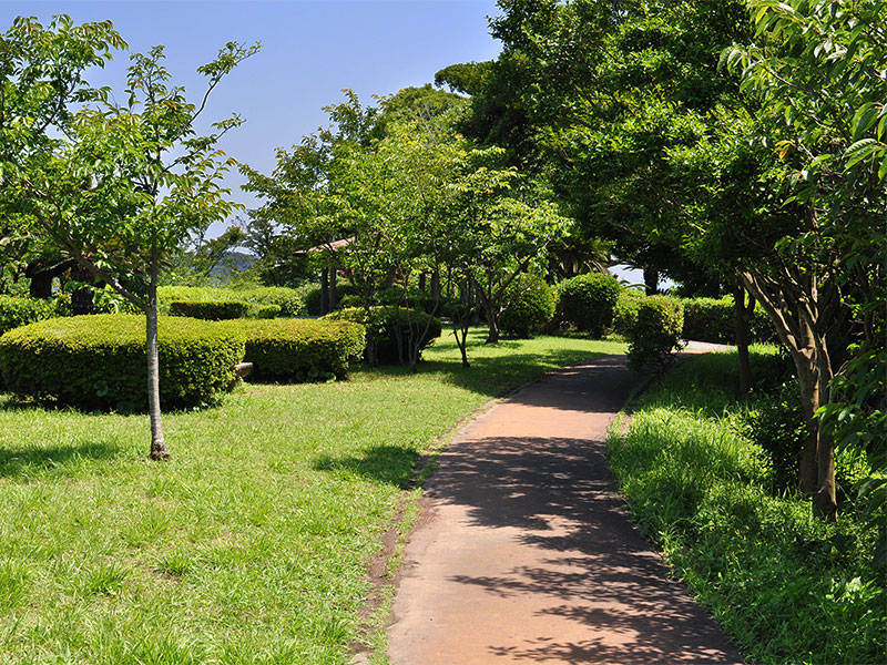 大崎公園　園内