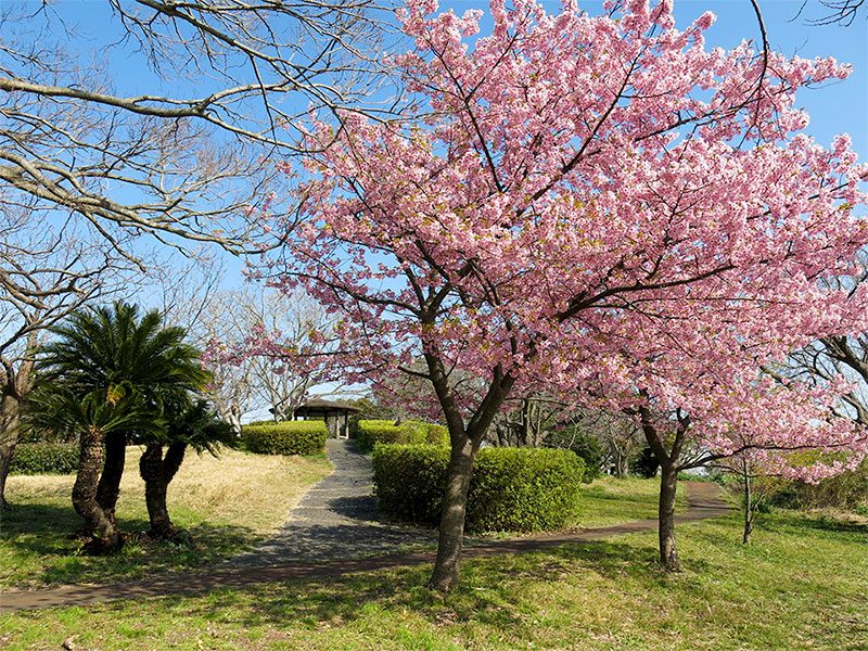 大崎公園　園内