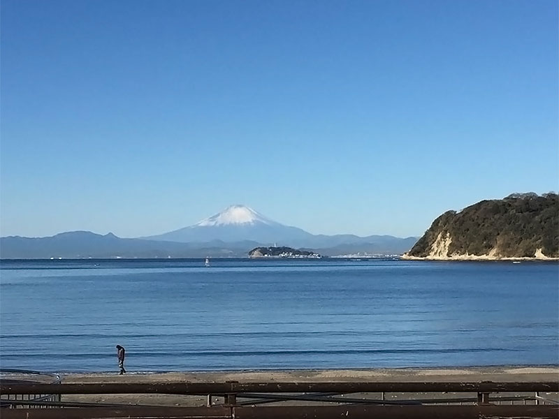 師走にホッと一息♪