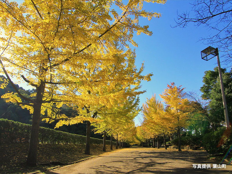 南郷上ノ山公園　園内写真