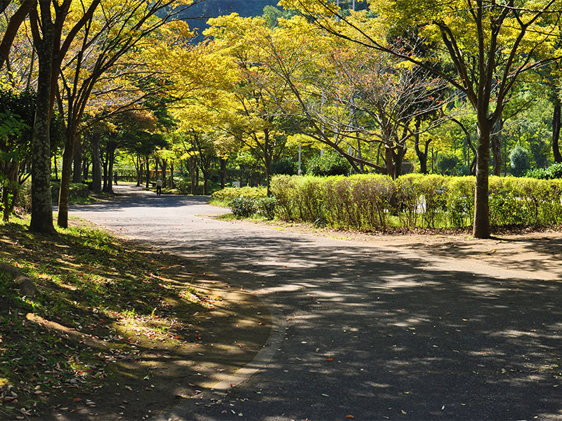 南郷上ノ山公園　園内写真