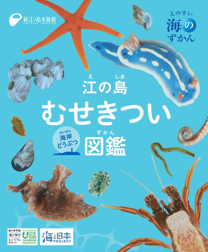 「江の島むせきつい海岸どうぶつ図鑑」無料ダウンロード