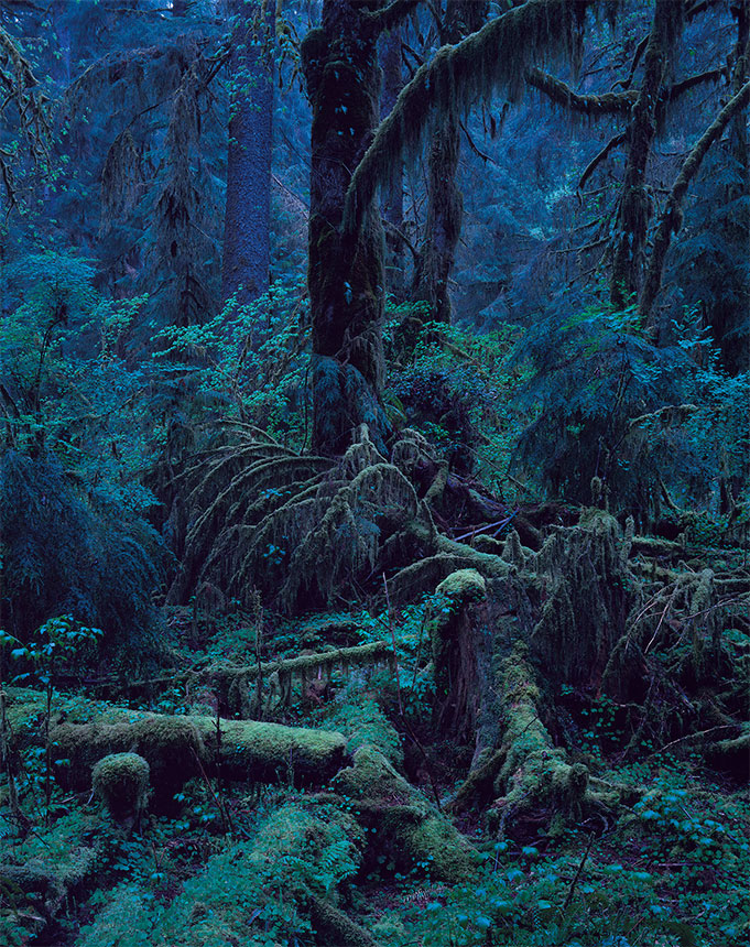 上田義彦《Quinault No.1 ・ Washington》1990年 ⒸYoshihiko Ueda