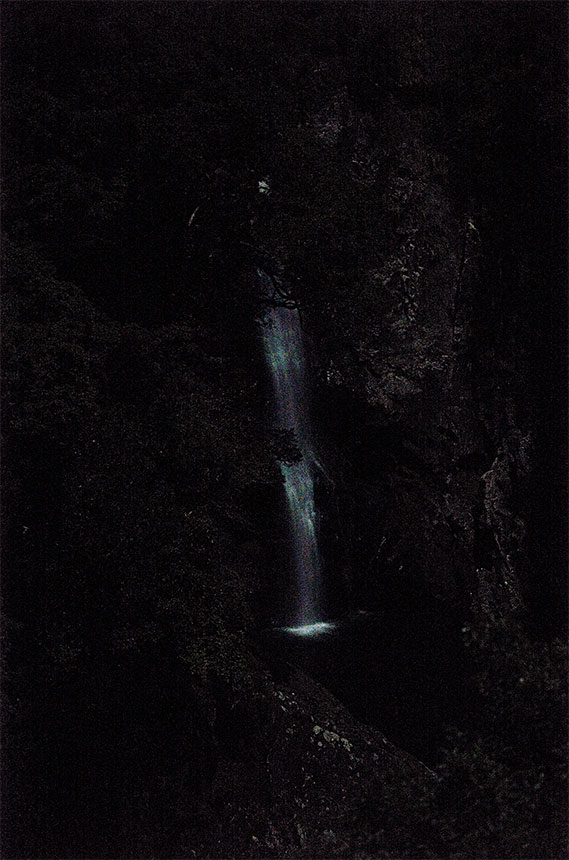 上田義彦《Māter No.10 ・ Yakushima》2021年
ⒸYoshihiko Ueda