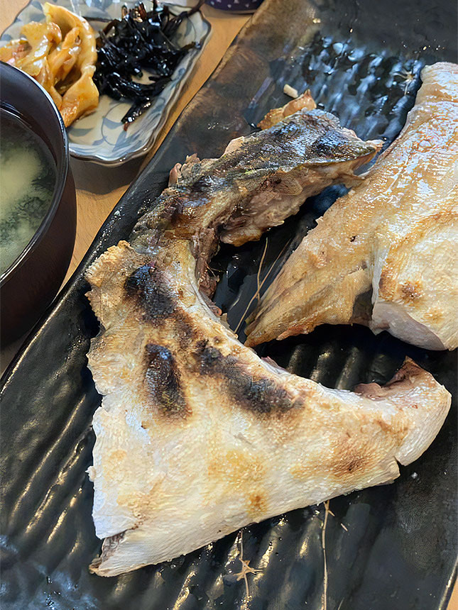 三浦海岸 激熱 朝一限定「水深わずか14mの青物ゲーム」