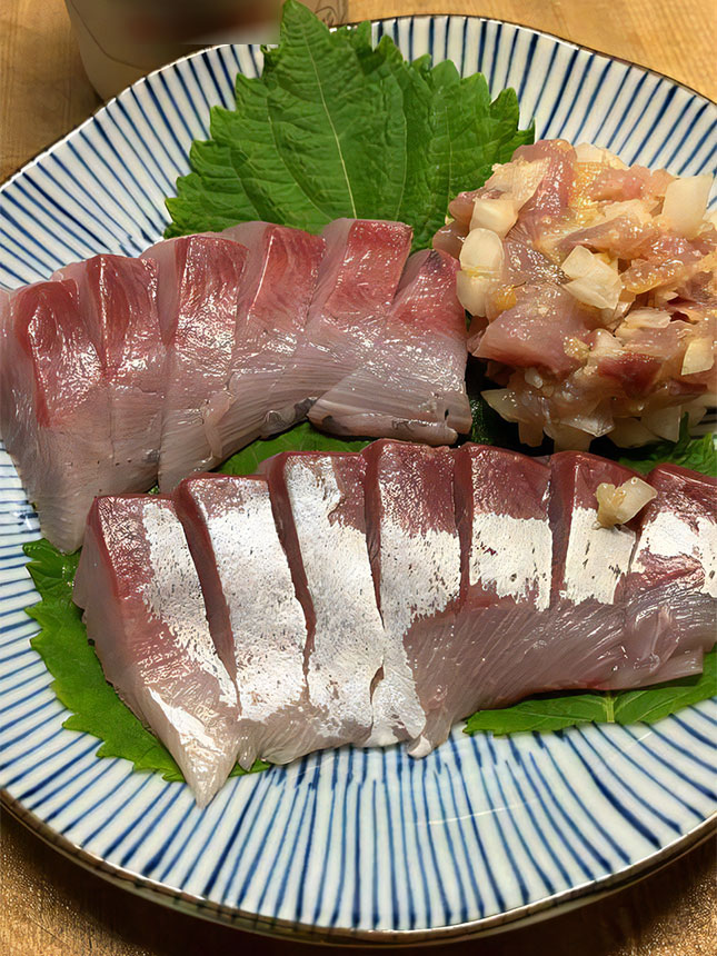 三浦海岸 激熱 朝一限定「水深わずか14mの青物ゲーム」