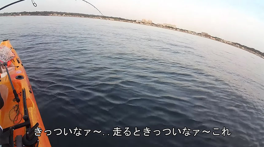 三浦海岸 激熱 朝一限定「水深わずか14mの青物ゲーム」