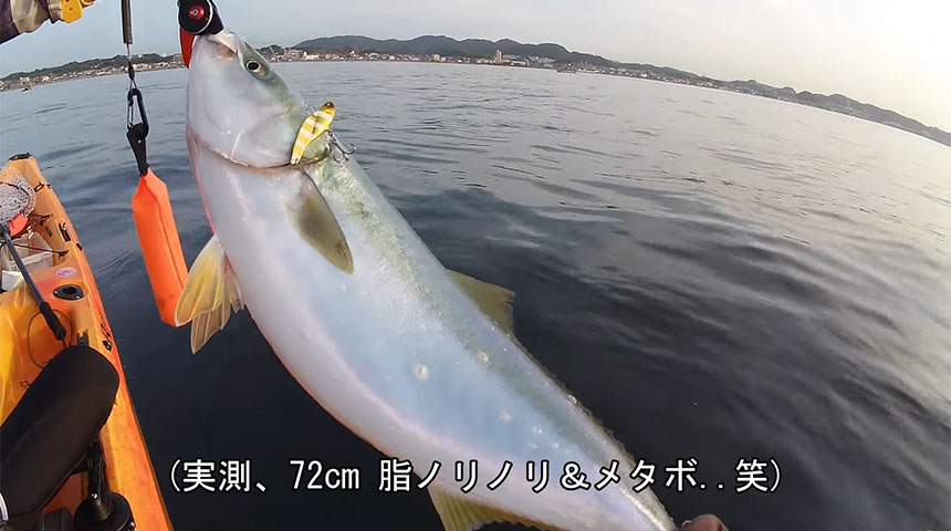 三浦海岸 激熱 朝一限定「水深わずか14mの青物ゲーム」