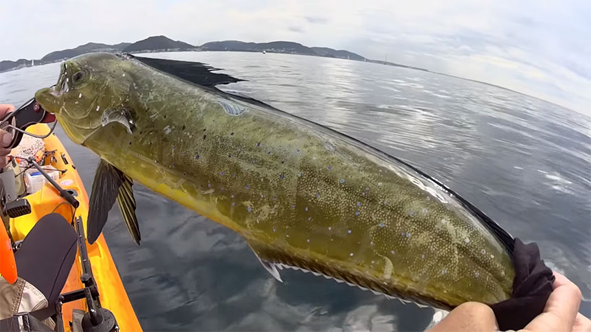 [逗子・葉山] 名島沖 サゴシ、サバが湧く週末！水深30~40mが熱い
