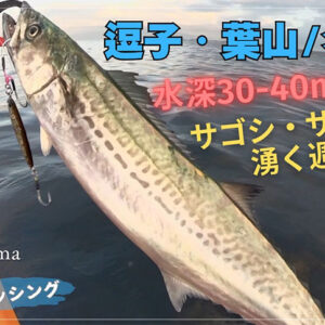 特集＆コラム