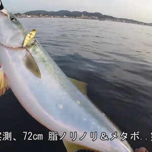 特集＆コラム