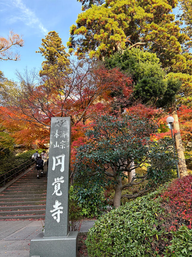 北鎌倉紅葉記・円覚寺～東慶寺