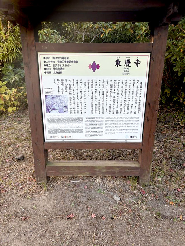 かつて”縁切り寺”とよばれた、格式の高い尼寺でした。
