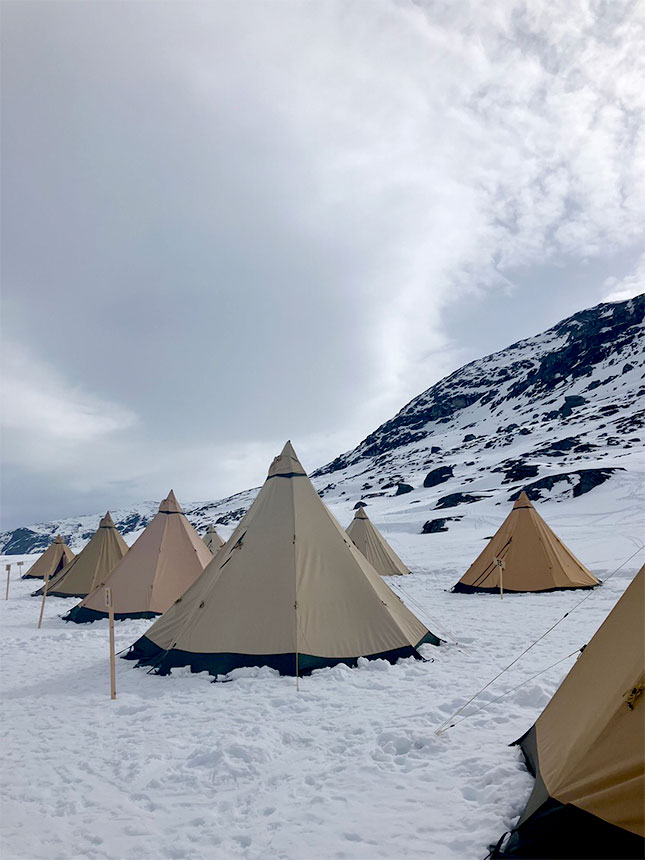 北緯67度の旅 ～スウェーデン Vassijaure旅行記～