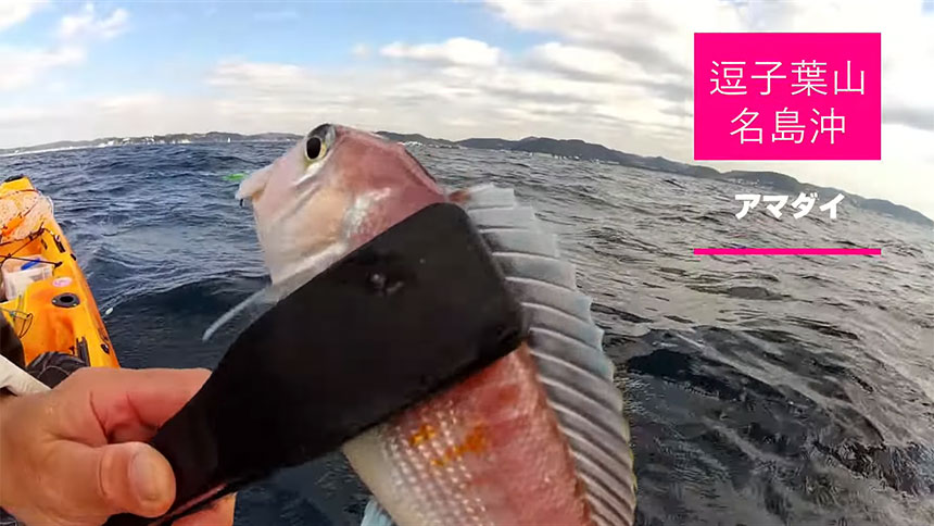 【逗子・葉山/名島沖】カヤックフィッシング「アマダイ五目釣り」