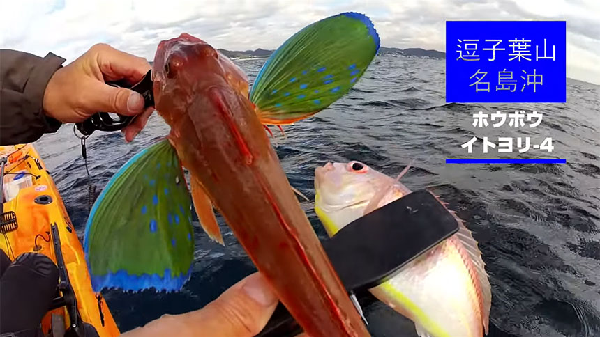 【逗子・葉山/名島沖】カヤックフィッシング「アマダイ五目釣り」