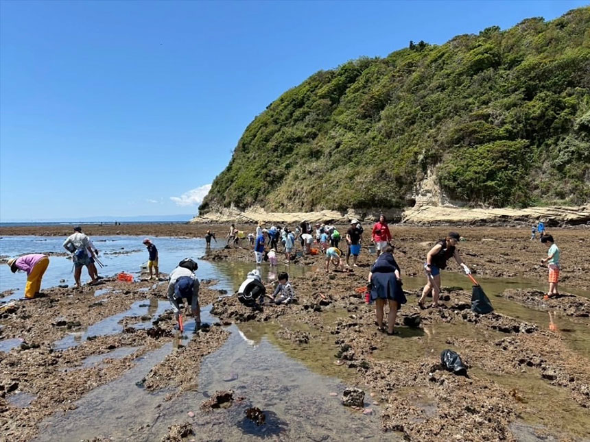2026年度 735style<br>「磯焼け対策」イベント