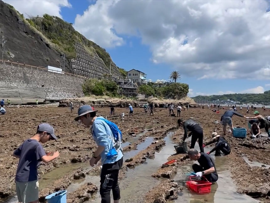 2026年度 735style<br>「磯焼け対策」イベント