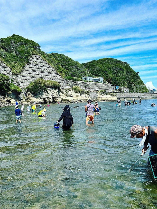 2026年度 735style<br>「磯焼け対策」イベント